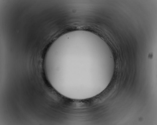X0000103910650200809191120