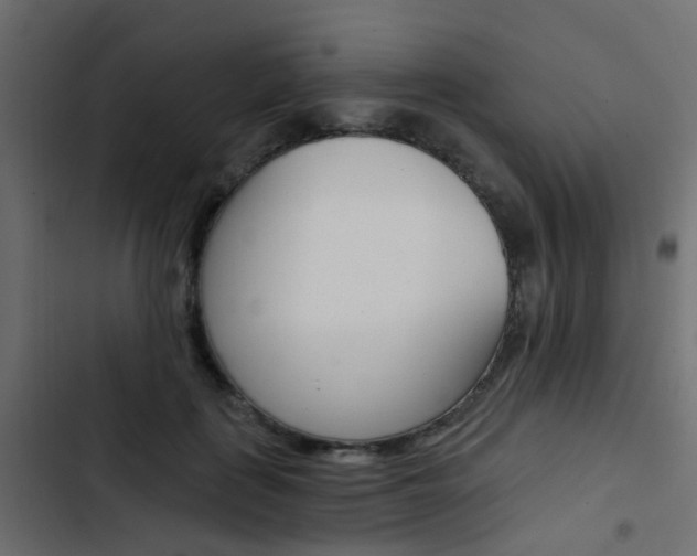 X0000103910651200809191120