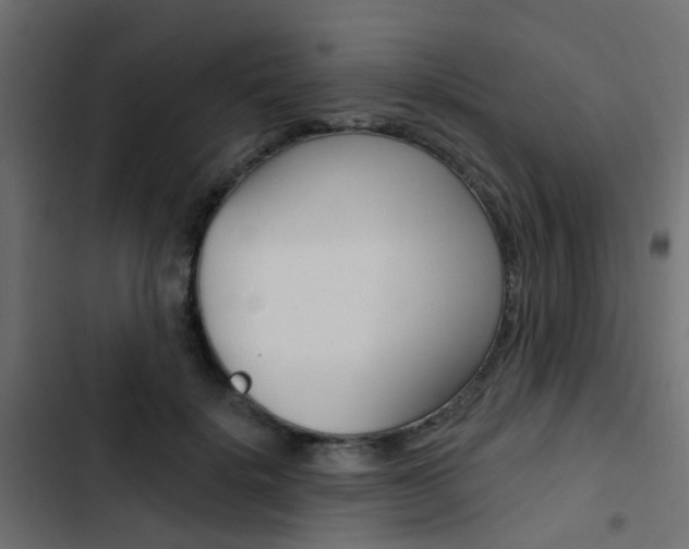 X0000103910652200809191120