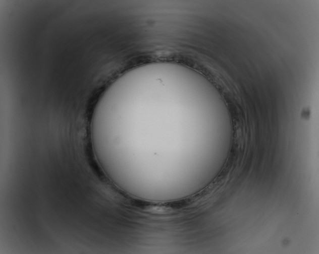 X0000103910654200809191120