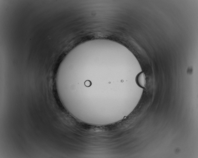 X0000103910655200809191120