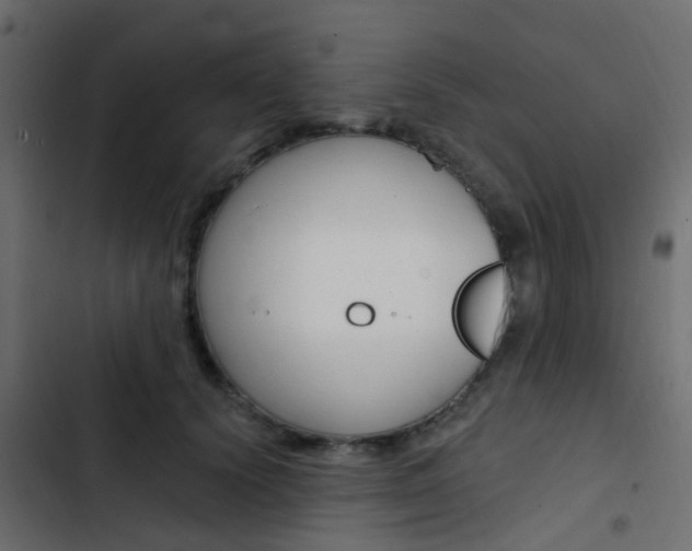 X0000103910656200809191120