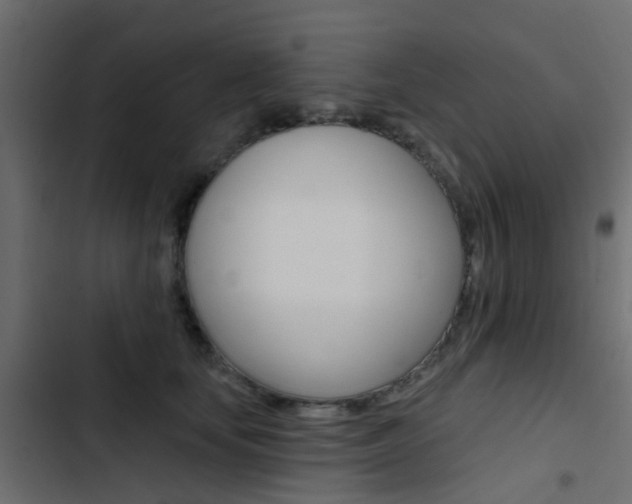 X0000103910659200809191120