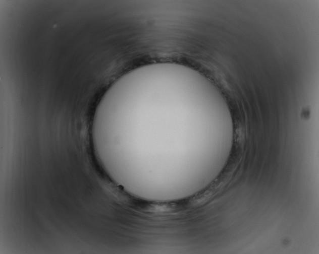 X0000103910662200809191120