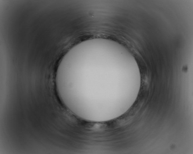 X0000103910663200809191120