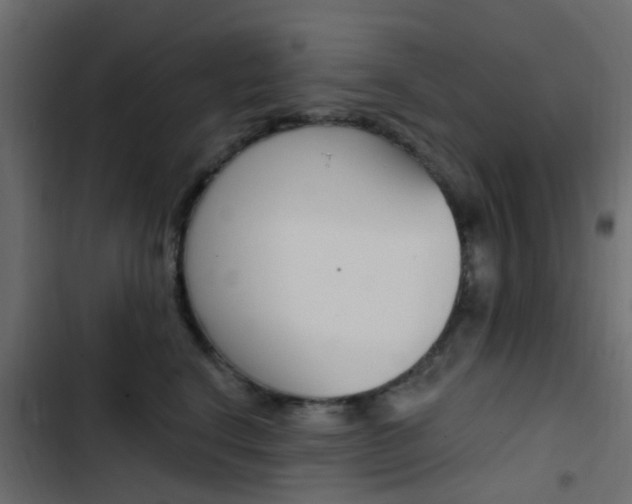 X0000103910664200809191120