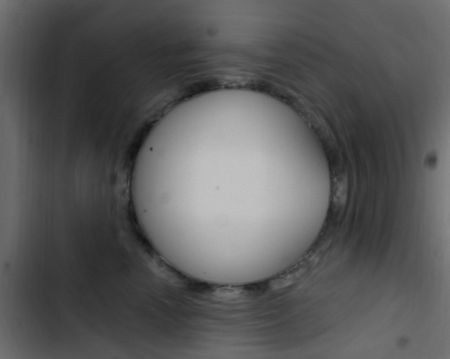 X0000103910666200809191121