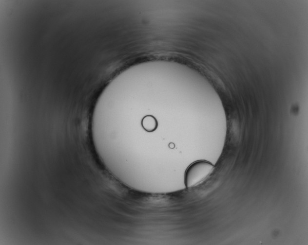 X0000103910668200809191121