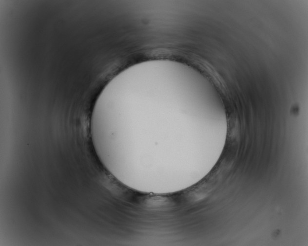 X0000103910669200809191121