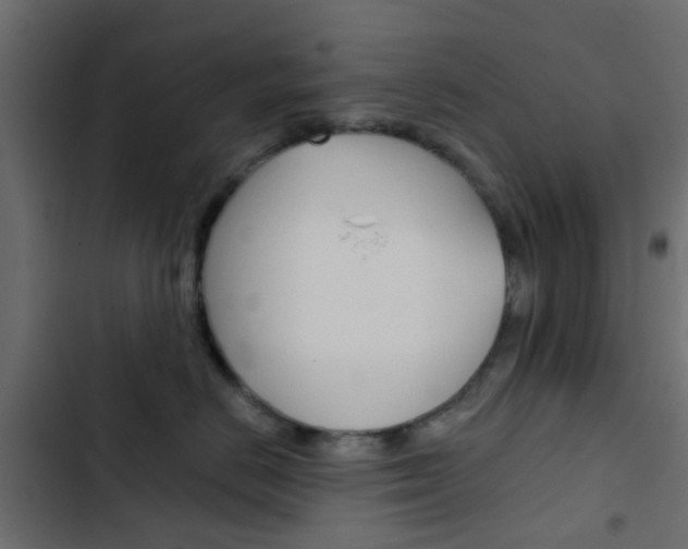X0000103910670200809191121
