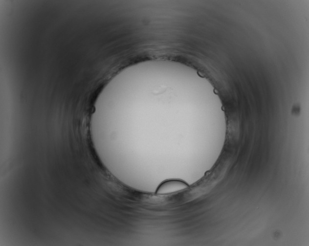 X0000103910671200809191121