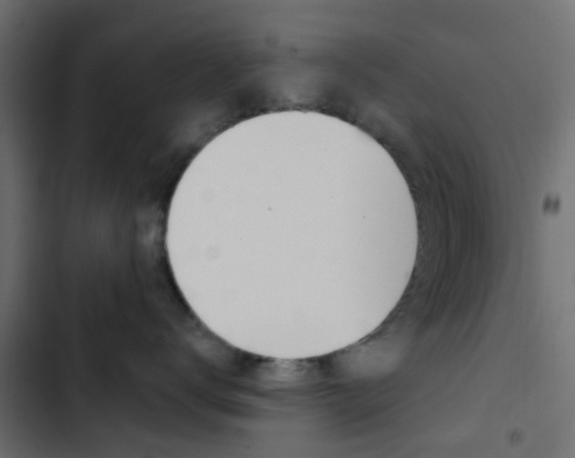 X0000103910672200809191121