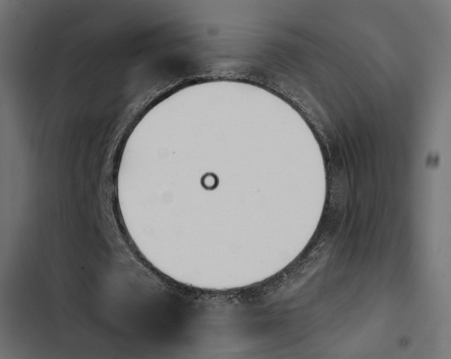 X0000103910673200809191120