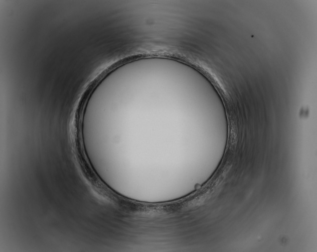 X0000103910674200809191120