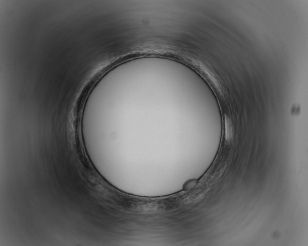 X0000103910675200809191120