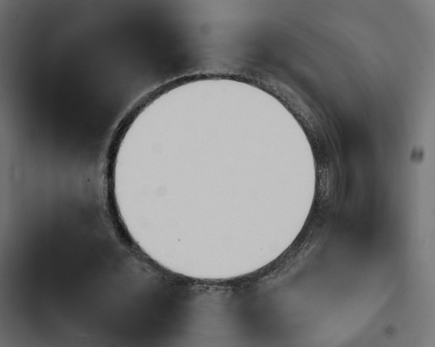 X0000103910676200809191120