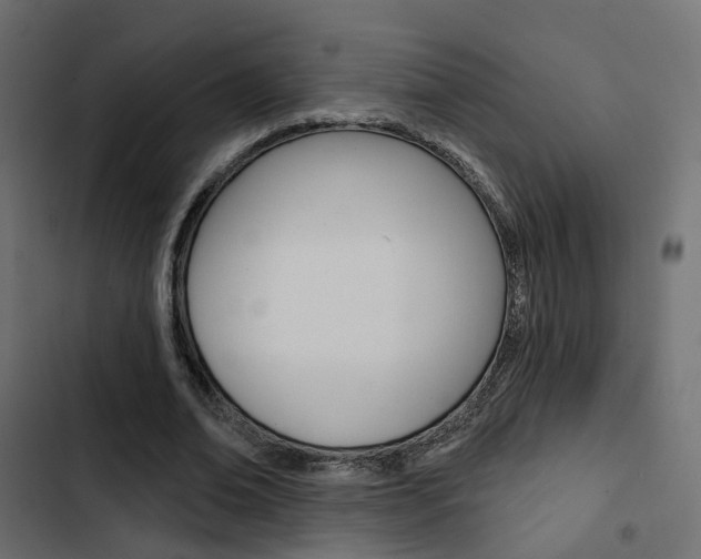X0000103910678200809191120