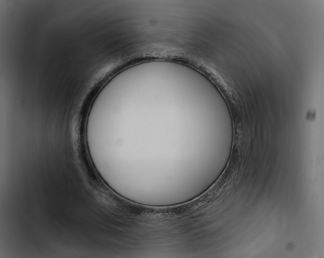 X0000103910679200809191120