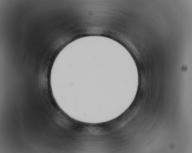 X0000103910681200809191120