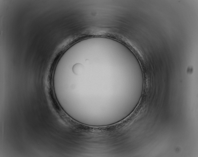 X0000103910682200809191120
