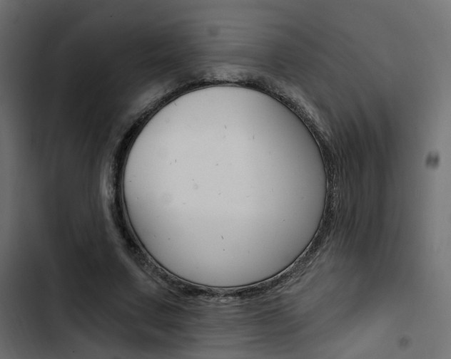 X0000103910683200809191120