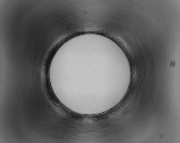 X0000103910684200809191120