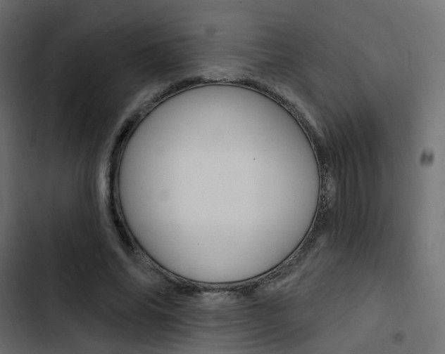 X0000103910686200809191120