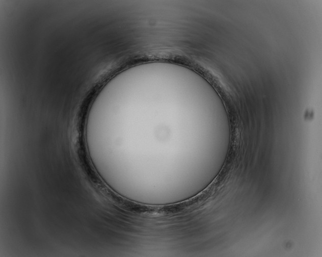 X0000103910687200809191120