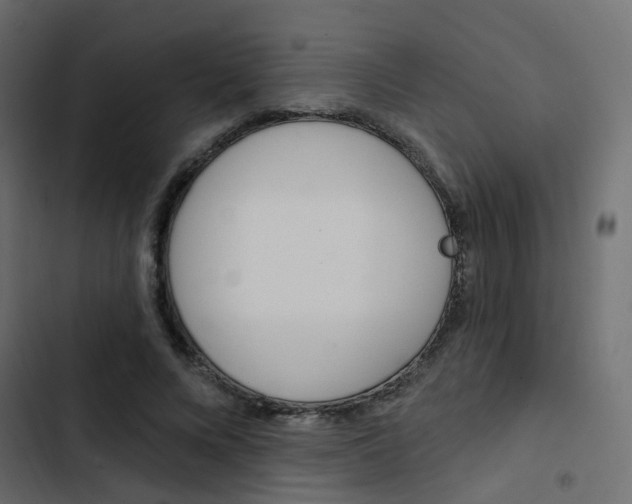 X0000103910688200809191120