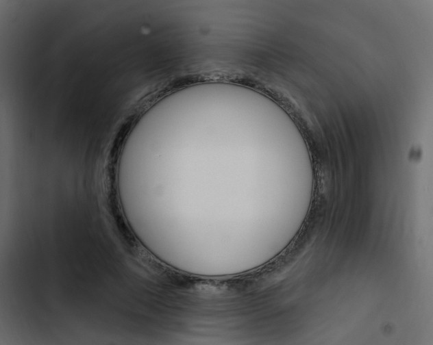 X0000103910690200809191120