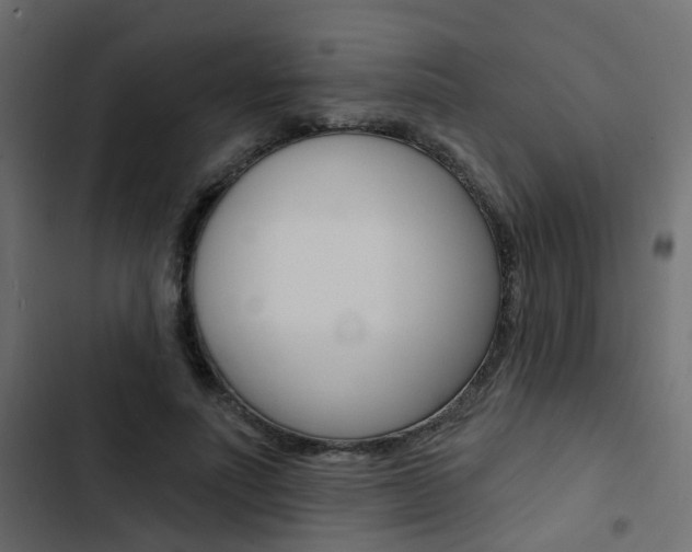 X0000103910691200809191120