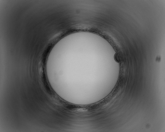 X0000103910692200809191120