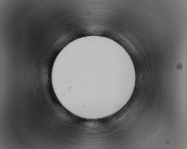 X0000103910693200809191119