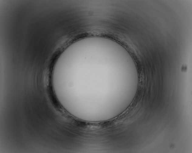 X0000103910694200809191119
