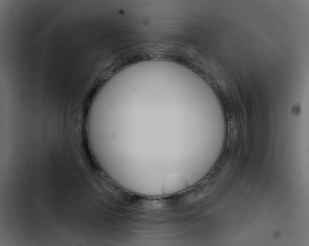 X0000103910698200809191119