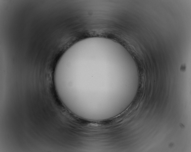 X0000103910699200809191119