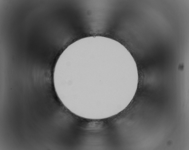 X0000103910700200809191119