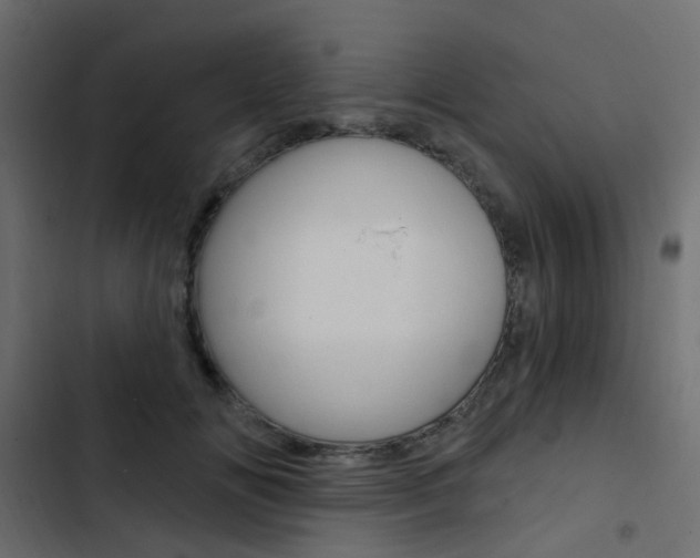 X0000103910702200809191119