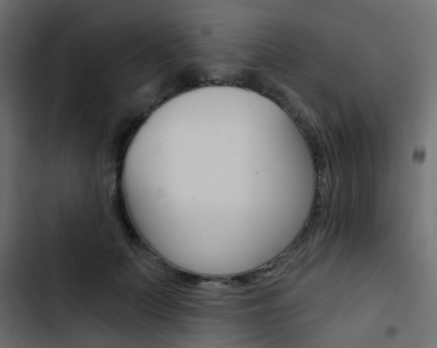 X0000103910703200809191119