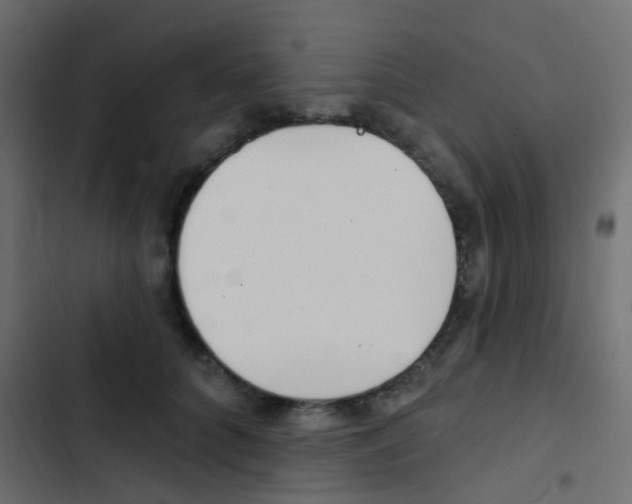 X0000103910704200809191119