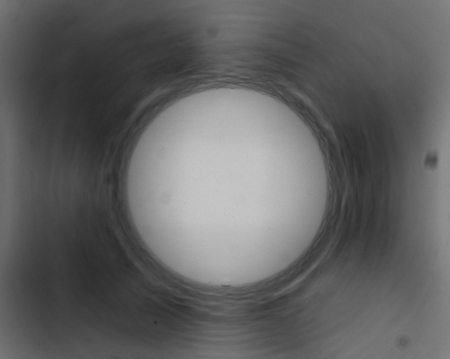 X0000103910705200809191119