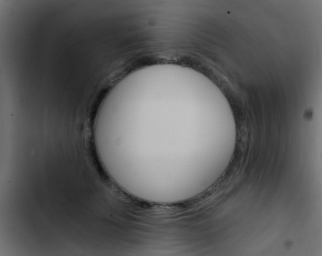 X0000103910707200809191119