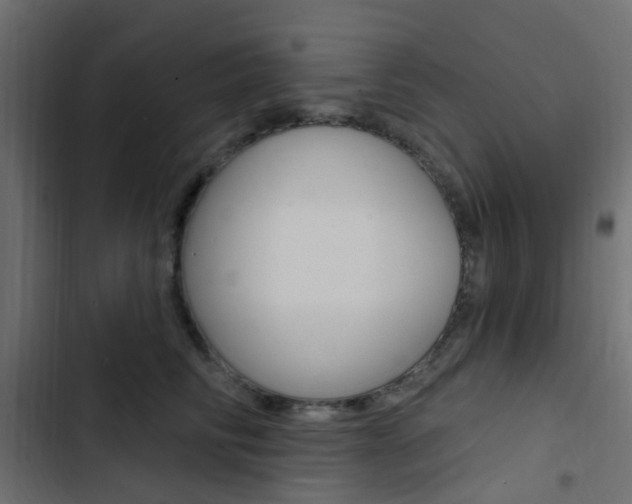 X0000103910710200809191119