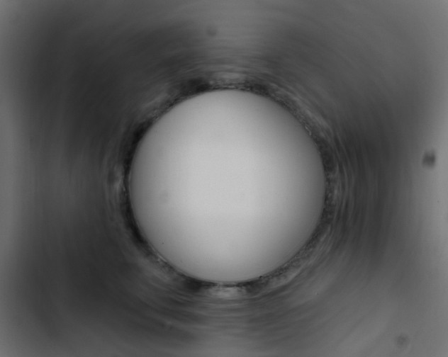 X0000103910711200809191119