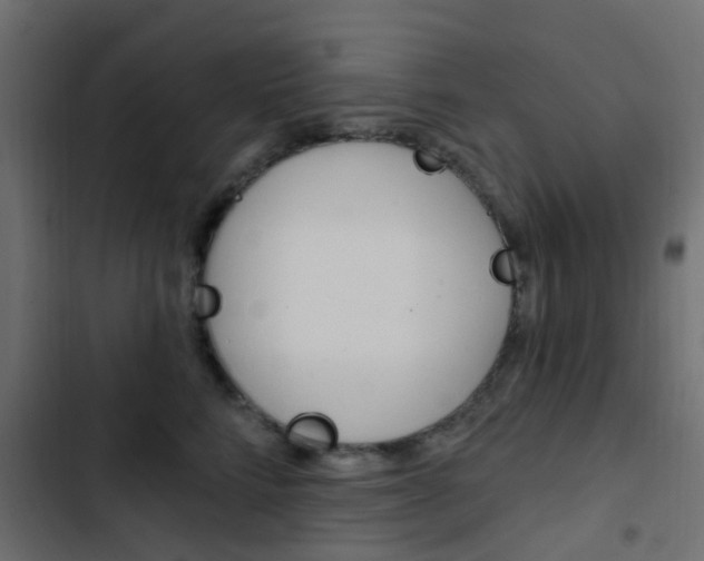 X0000103910712200809191119