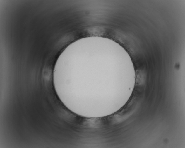 X0000103910713200809191119