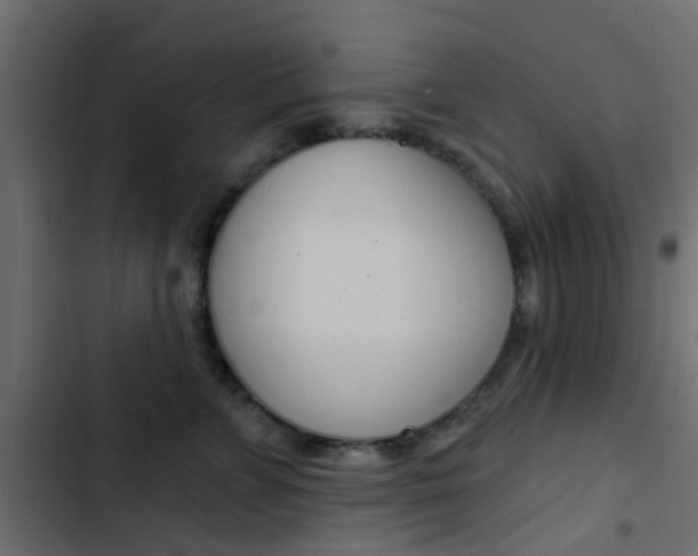X0000103910715200809191119