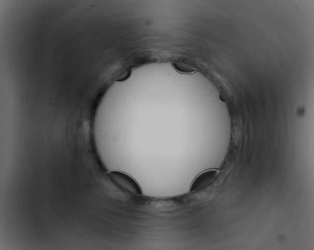 X0000103910716200809191119