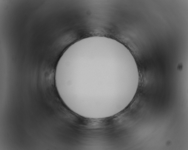 X0000103910717200809191119