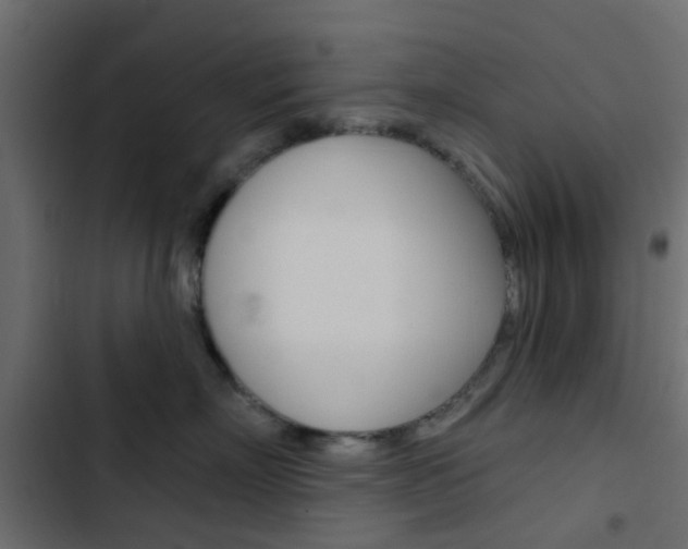 X0000103910718200809191119